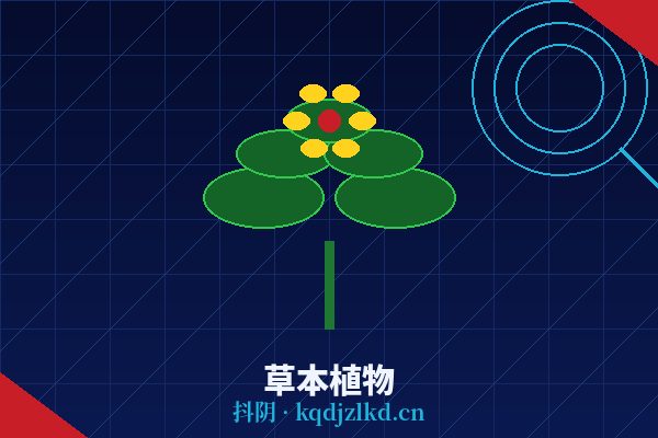 抖阴草本植物视频