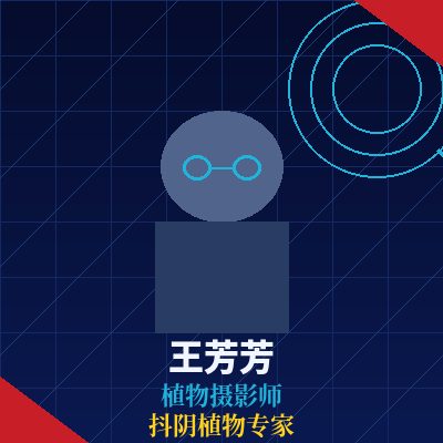 抖阴王芳芳