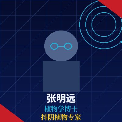 抖阴张明远